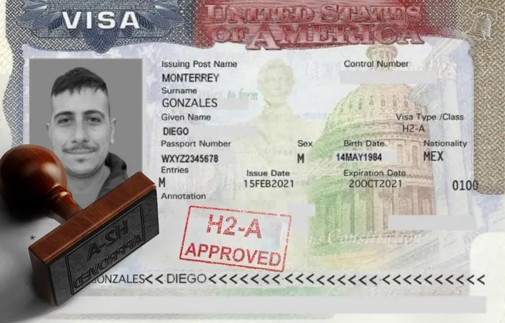 What Are the H-2A Visa Housing Requirements?